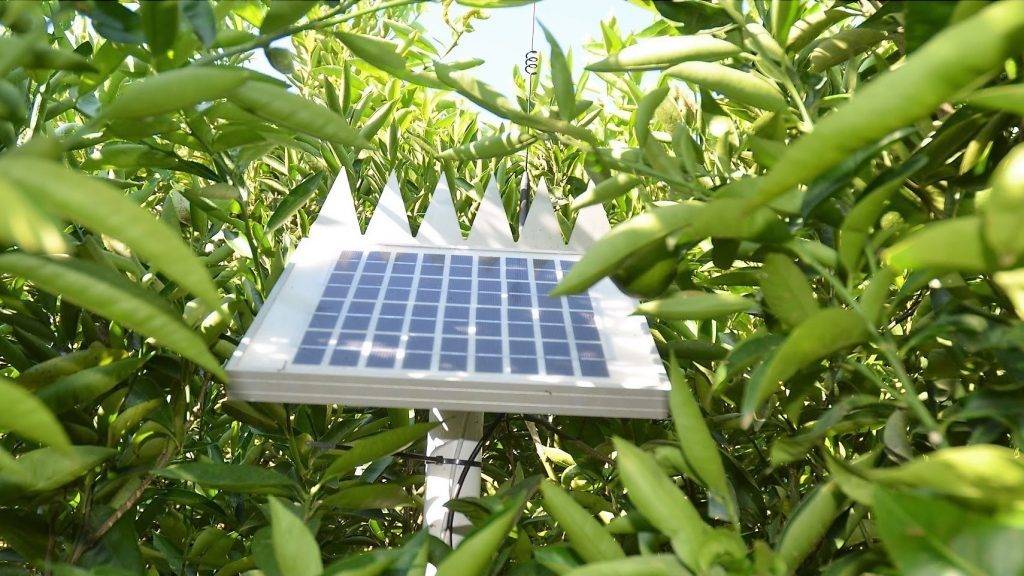 Fertinnowa-IVIA-principal|Fertinnowa-IVIA-2|Fertinnowa-IVIA-General|Fertinnowa-IVIA-4-baixa|Fertinnowa-IVIA-3-baixa